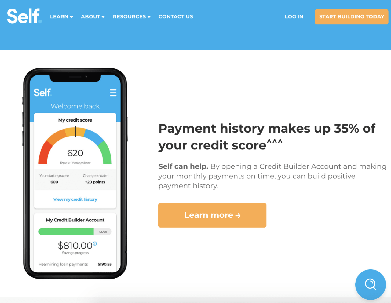 Self Review: Building Credit While Saving Money - Visually appealing interface