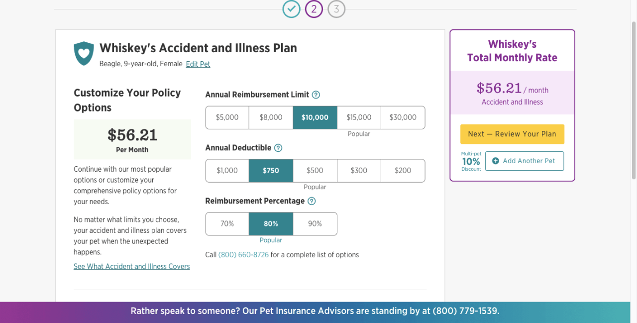 Embrace Pet Insurance Review: Full Coverage Pet Insurance With Customizable Premiums - Whiskeyapos;s accident plan