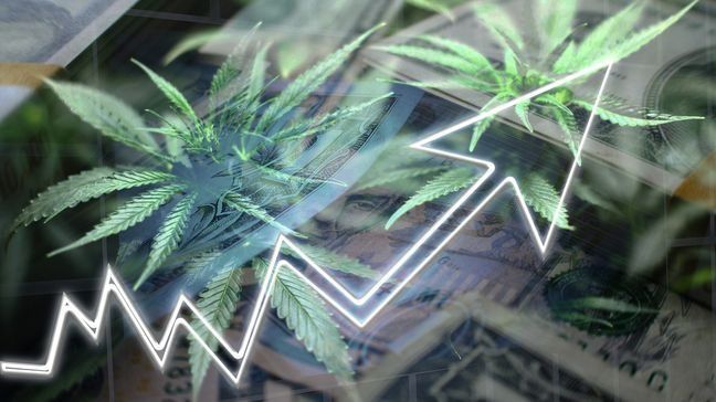 Should You Invest In Marijuana Stocks?
