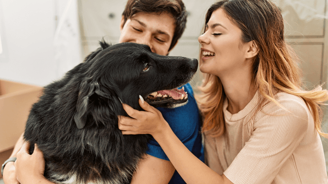 Do Homebuyers Buy Homes With ir Pets In Mind?