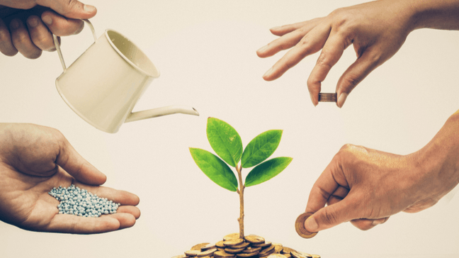 Ethical Banking: Qué You Should Know About Socially Responsible Banks - Ethical investing
